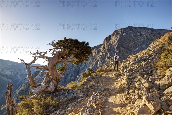 Mountain path