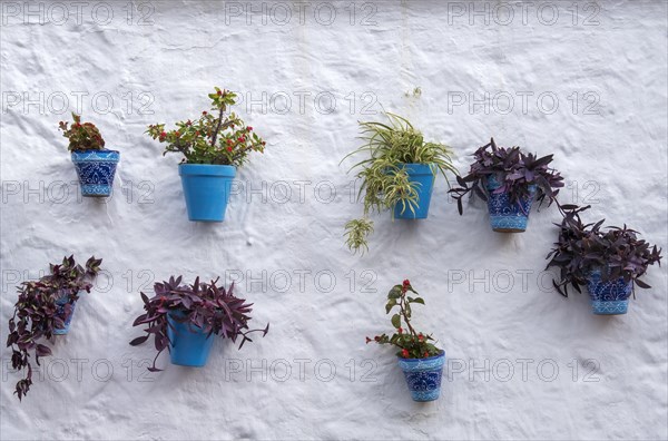 Blue flower pots on a white house wall