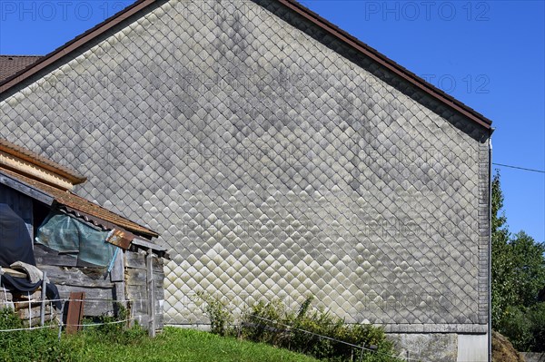 Eternit facade on farm