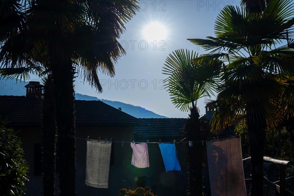 Clothes Hanger with Clothes Hanging Between Two Palm Trees in a Rustic Village and Sunbeam in Ticino