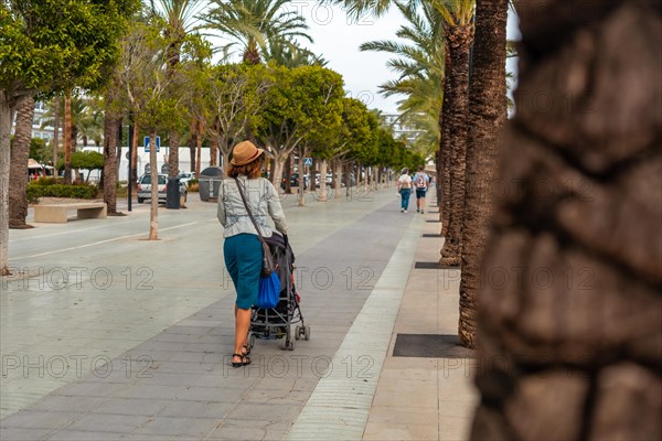 A mother with her daughter in the palm tree park in San Antonio Abad in the port