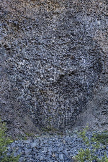 The beautiful Jokulsargljufur trekking trail