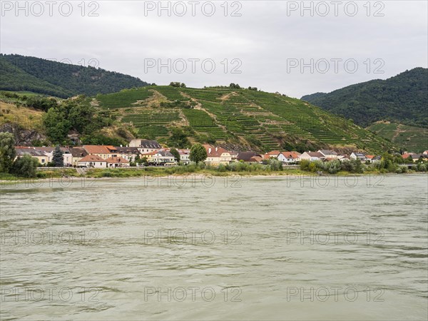 Vineyards on the Danube