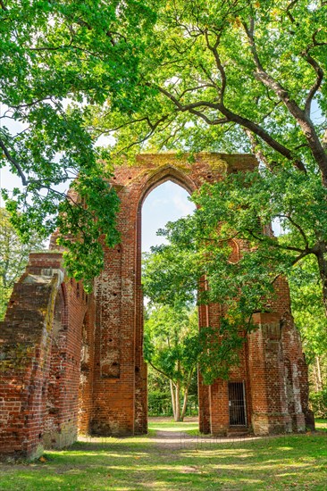 Ruin of Cistercian abbey Kloster Eldena