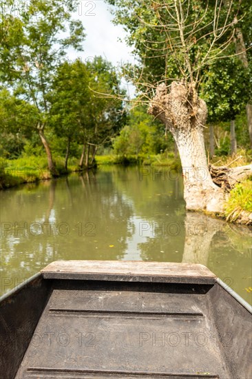 Sailing by boat on the natural water channels between La Garette and Coulon