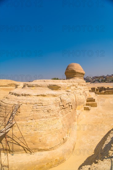The spectacular Sphinx of Giza in the city of Cairo
