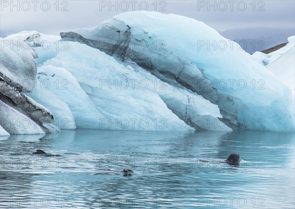 Beautiful icebergs the Jokulsarlon Ice Lake in the golden circle of southern Iceland