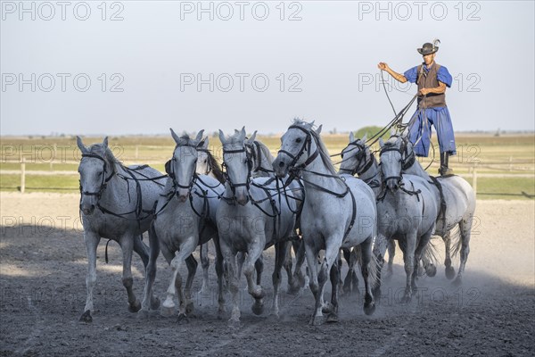 Riding demonstration