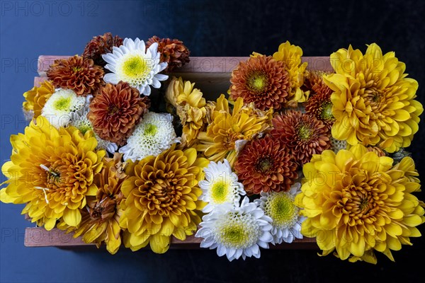 Overhead view of a rectangular flower centerpiece