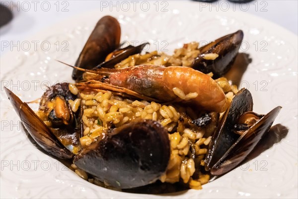 Seafood paellas