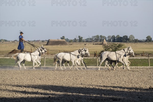 Riding demonstration