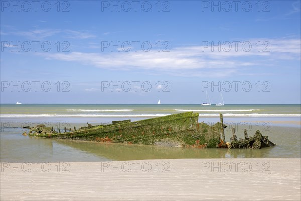 Old shipwreck Claude London on the coast