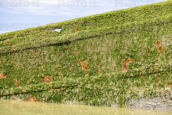 Old shipwreck Claude London on the coast