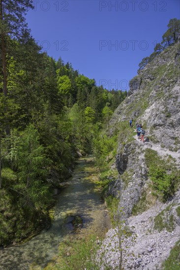 Hiking trail in the Oetschergraben