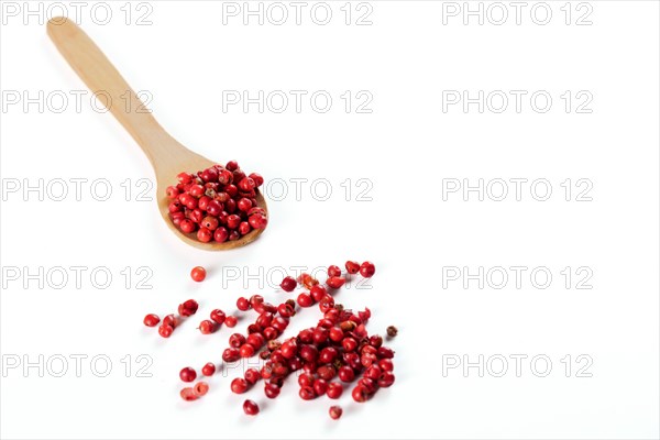 Wooden spoon with pink peppercorns isolated on white background and copy space
