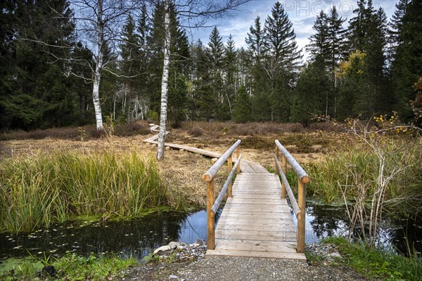 Autumn landscape in the Bodenmoeser nature and landscape conservation area. A wooden footbridge leads over a stream and through the moor. Overcast sky. Isny im Allgaeu and municipality of Argenbuehl