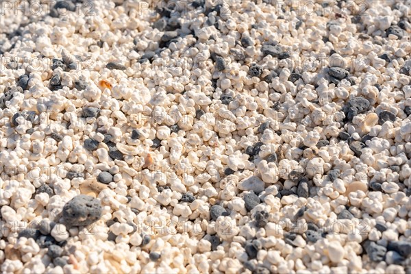 Details of Popcorn Beach near the town of Corralejo