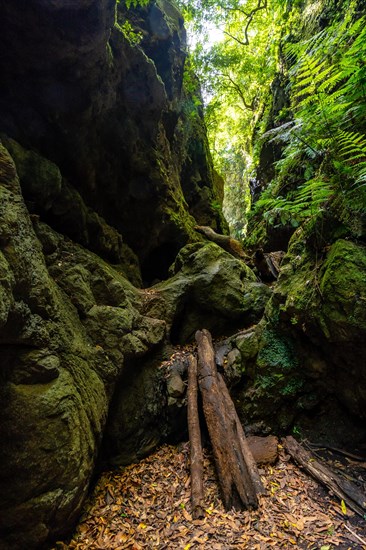 Strange access to enter the canyon of the natural park of Los Tinos on the northeast coast on the island of La Palma