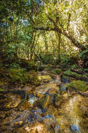 The river of the Cerro Azul Meambar National Park