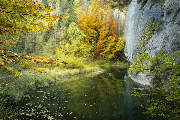 The Eistobel nature reserve