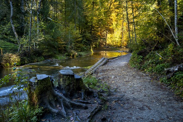 The Eistobel nature reserve