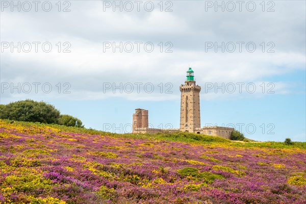 Yellow and pink flowers in summer in Phare Du Cap Frehel is a maritime lighthouse in Cotes-dÂ´Armor France . At the tip of Cap Frehel