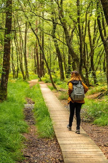 A young girl on the wooden footpath at Lake Paimpont in the Broceliande forest