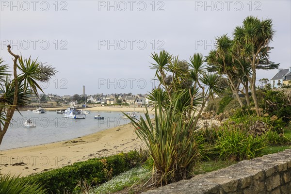 Ile de Batz island in the English Channel off the coast of Brittany near Roscoff