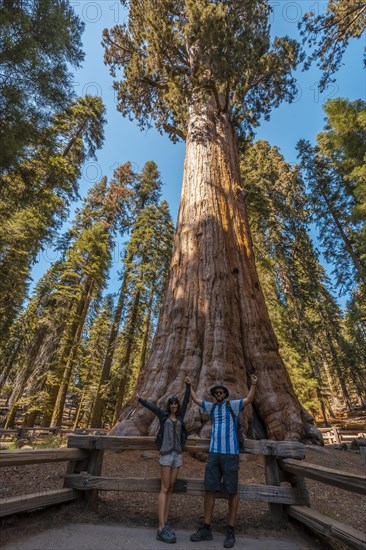 A couple in The giant tree General Sherman Tree in Sequoia National Park