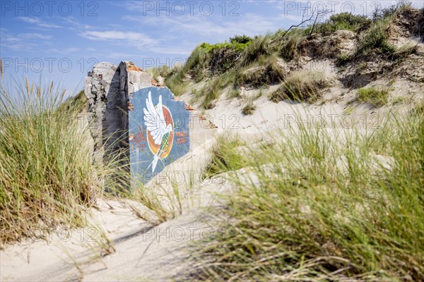 Destroyed bunkers in the dunes of Dunkirk