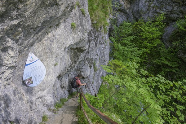 Climbing installation at Trefflingfall