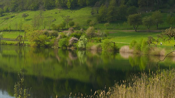 Schalkenmehren Maar in the Eifel