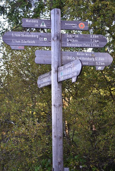 Signposts in the Harz Mountains