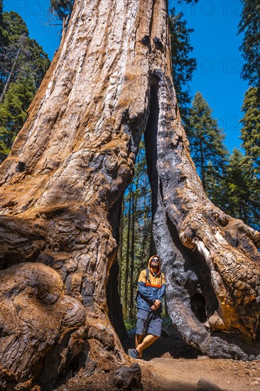 Sequoia National Park