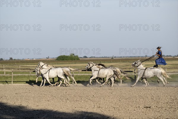 Riding demonstration