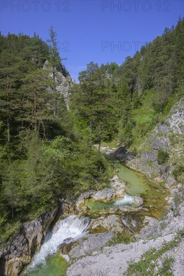 Oetscherbach in the Oetschergraben