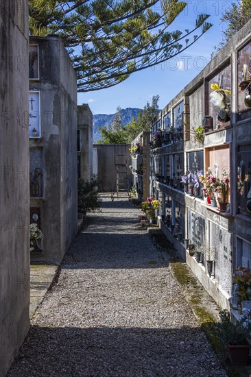 Wall with graves and ladder with wheels in a cemetery