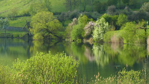 Spring at the Schalkenmehren Maar in the Eifel