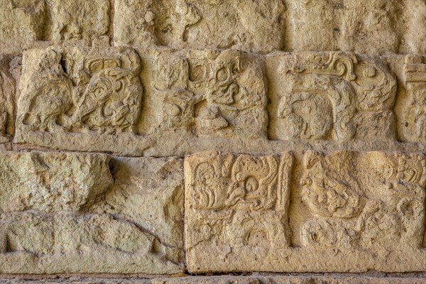 Detail of the Drawings in The stairs of the most famous temple in Copan Ruinas. Honduras