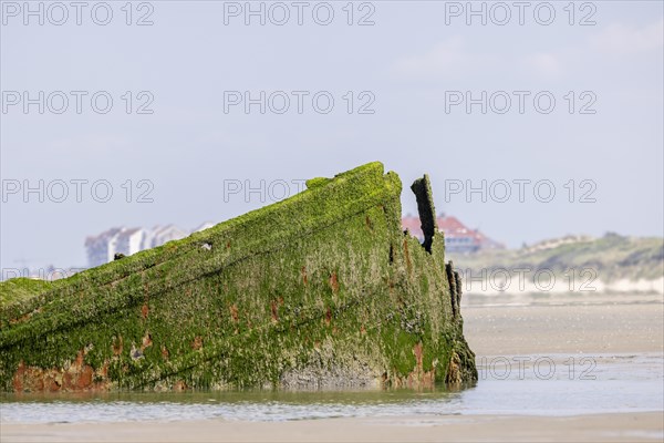 Old shipwreck Claude London on the coast