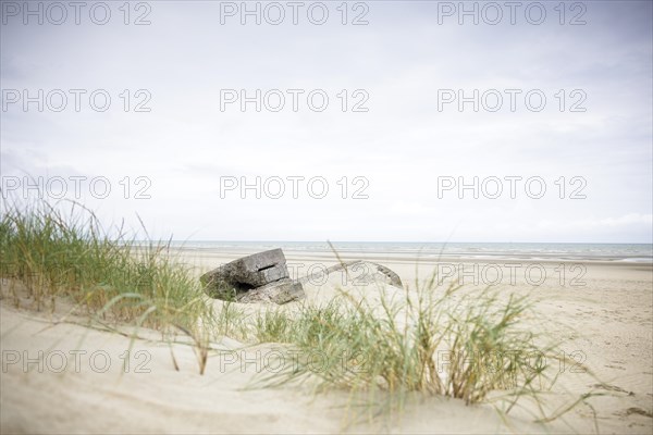 Destroyed bunkers in the dunes of Dunkirk