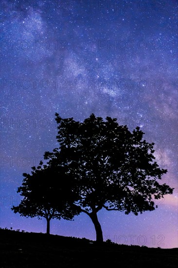 Silhouette of a young man and a tree at night. Monte Erlaitz in the town of Irun