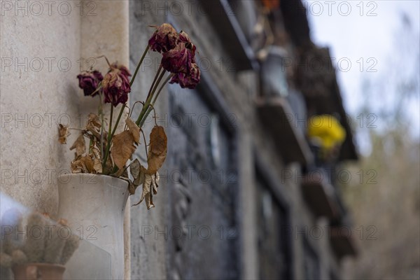 Vase with withered flowers on a grave in a cemetery