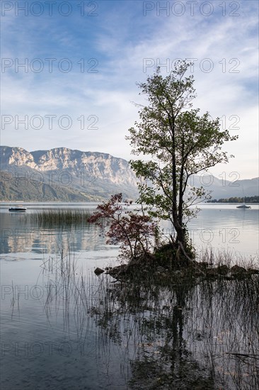 Attersee in front of Hoellengebirge