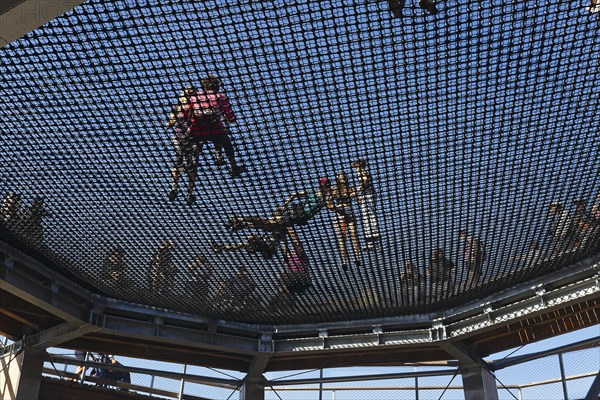 Tree top pad observation tower