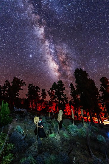 One of the best Milky Ways in the world in the Caldera de Taburiente near Roque de los Muchahos on the island of La Palma