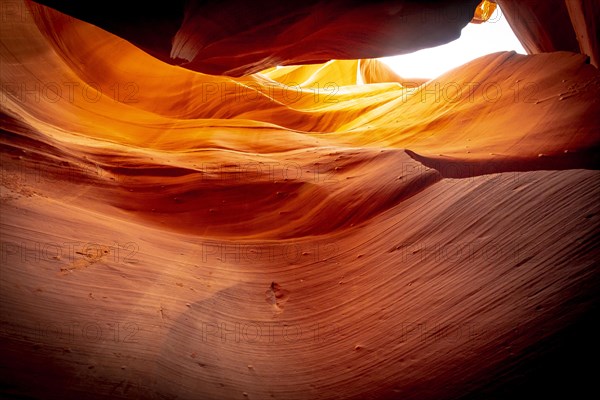 Incredible curves of red