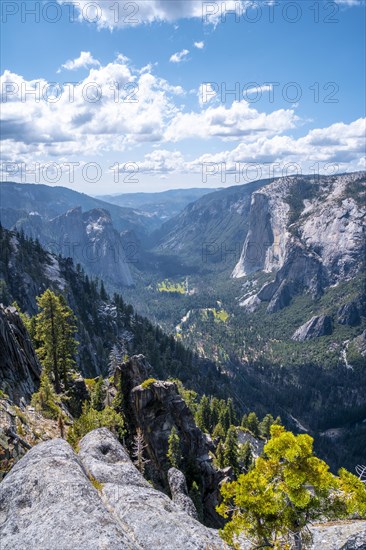 Yosemite National Park and El Capitan