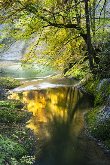 The Eistobel nature reserve