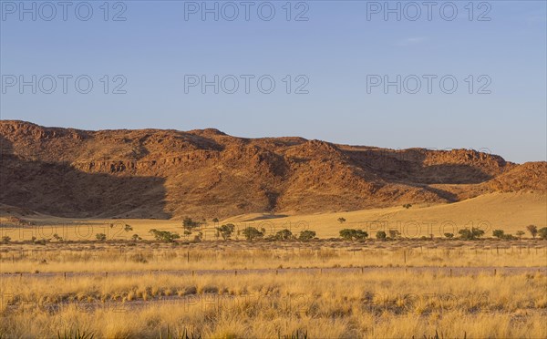 Desert-like landscape